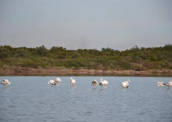 Flo' 3* San Pietro in Bevagna