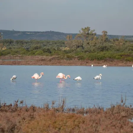 Bed & Breakfast Flo' San Pietro in Bevagna