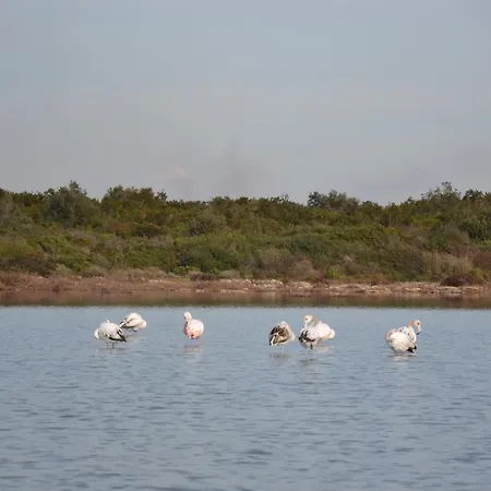 Flo' 3* San Pietro in Bevagna